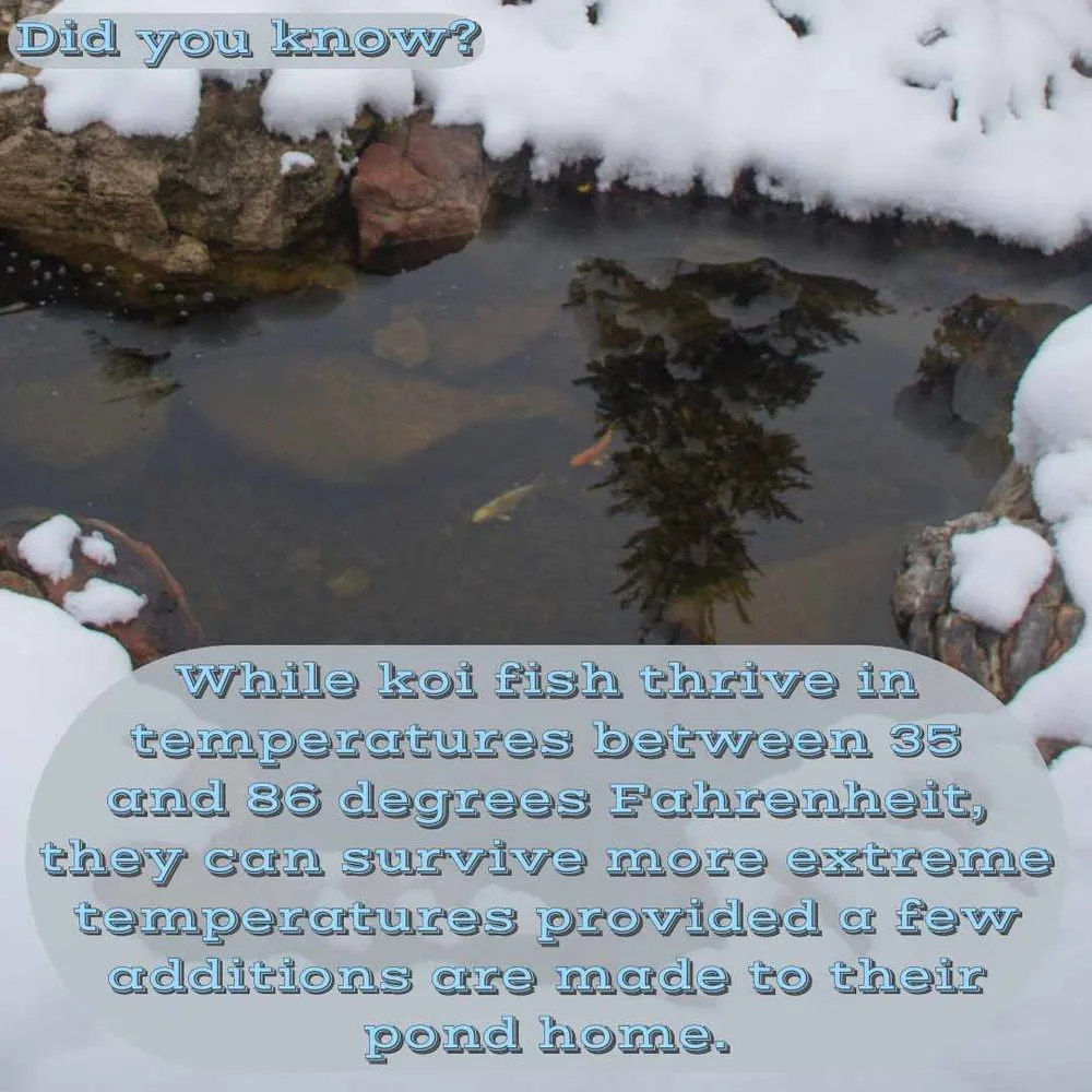 Affordable landscape installation for beautiful yards across Prior Lake, MN - Superior Ponds