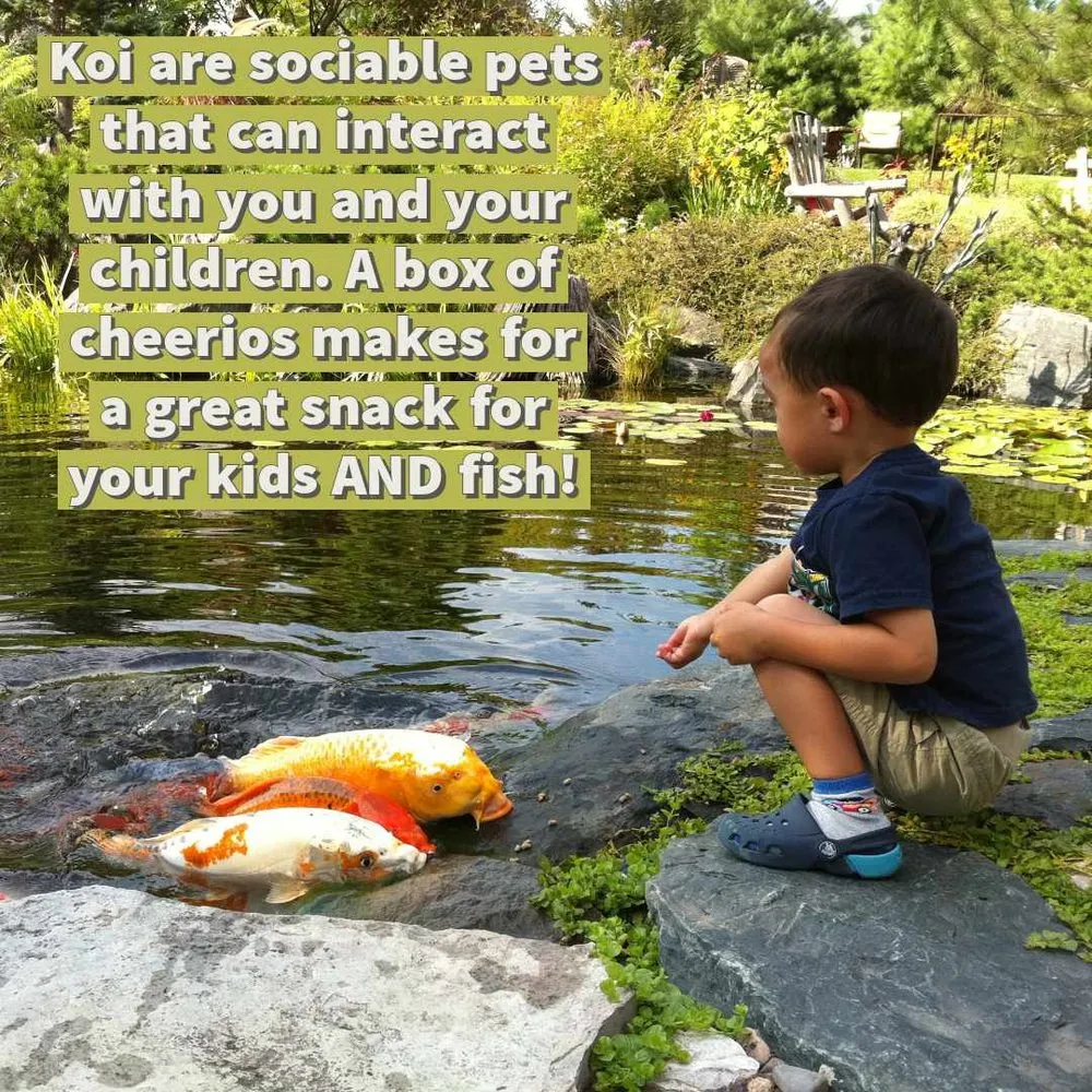 Affordable outdoor landscaping experts serving Prior Lake, MN - Superior Ponds