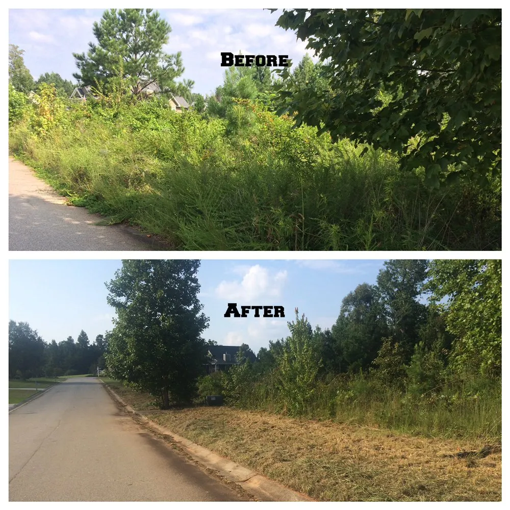 Reliable landscaping services for beautiful yards across Douglasville, GA - Superior Pressure Washing Metro