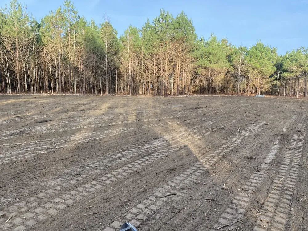 Professional residential landscaping with custom design in Niagara Falls, NY by Superior Property Services