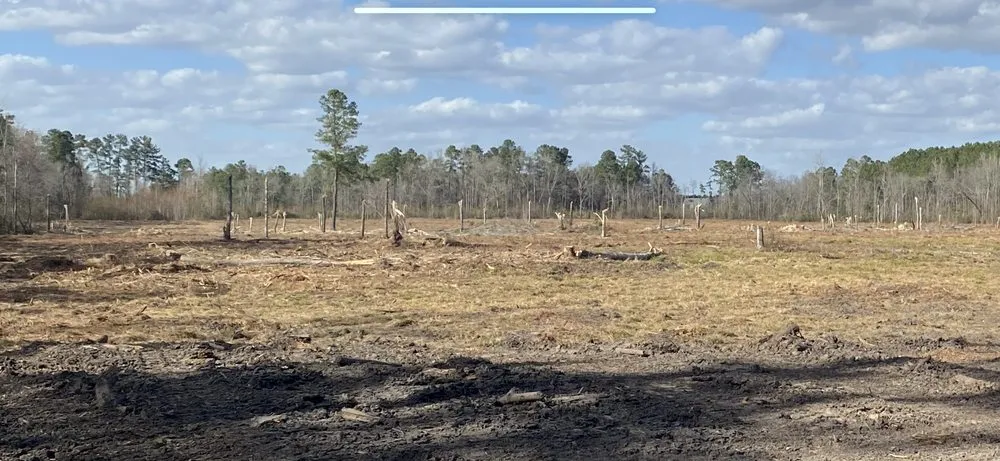 Affordable lawn mowing service in Niagara Falls, NY by Superior Property Services