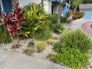 Expert yard cleanup service in La Mesa, CA - Superior Quality Landscaping