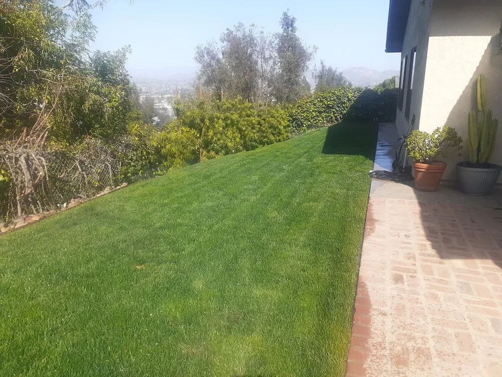 Trusted landscape design for residential properties in La Mesa, CA by Superior Quality Landscaping