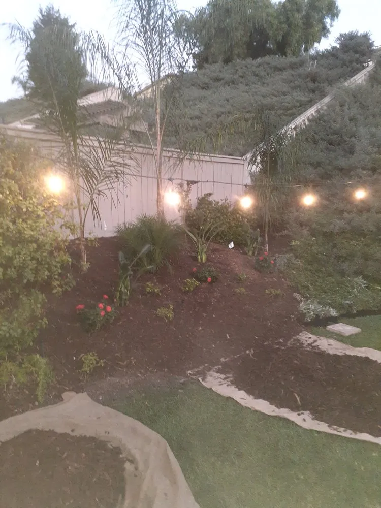 Affordable landscaping services in La Mesa, CA - Superior Quality Landscaping