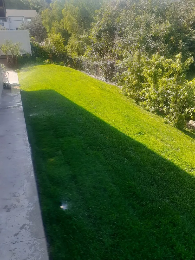 Trusted garden landscaping for residential properties across La Mesa, CA - Superior Quality Landscaping