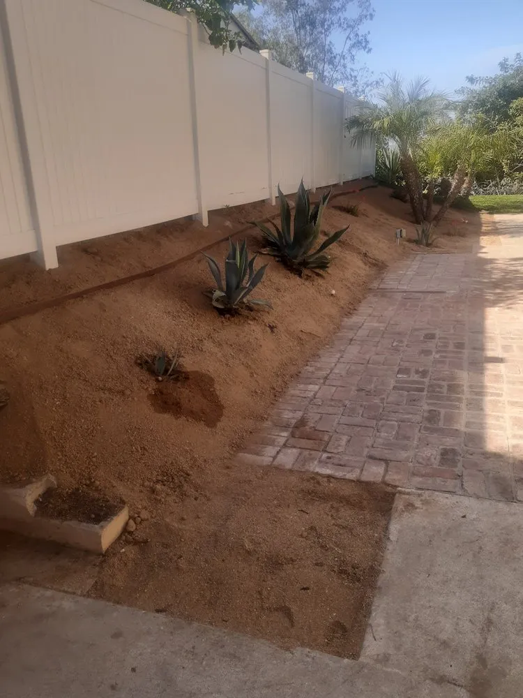 Custom yard cleanup service in La Mesa, CA by Superior Quality Landscaping