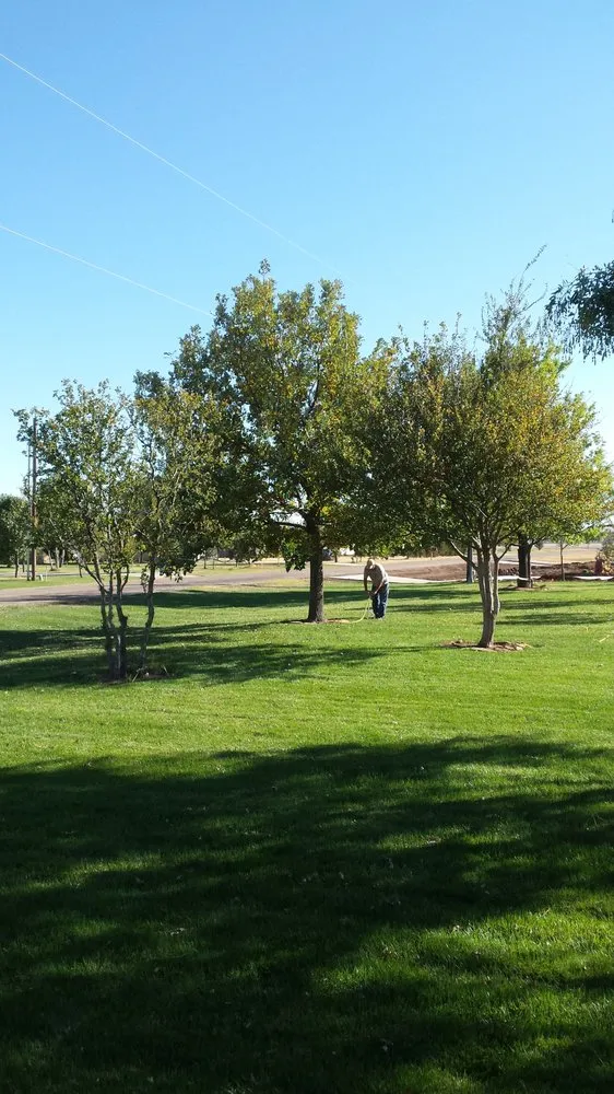 Affordable outdoor landscaping experts serving Amarillo, TX - Superior Quality Lawn And Landscape