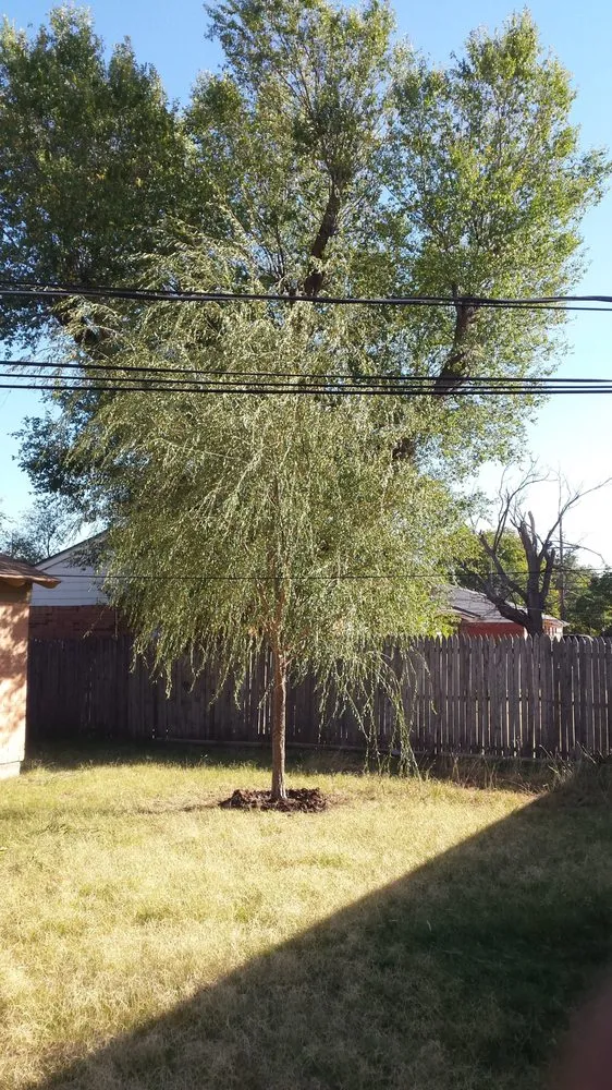 Local outdoor landscaping in Amarillo, TX by Superior Quality Lawn And Landscape