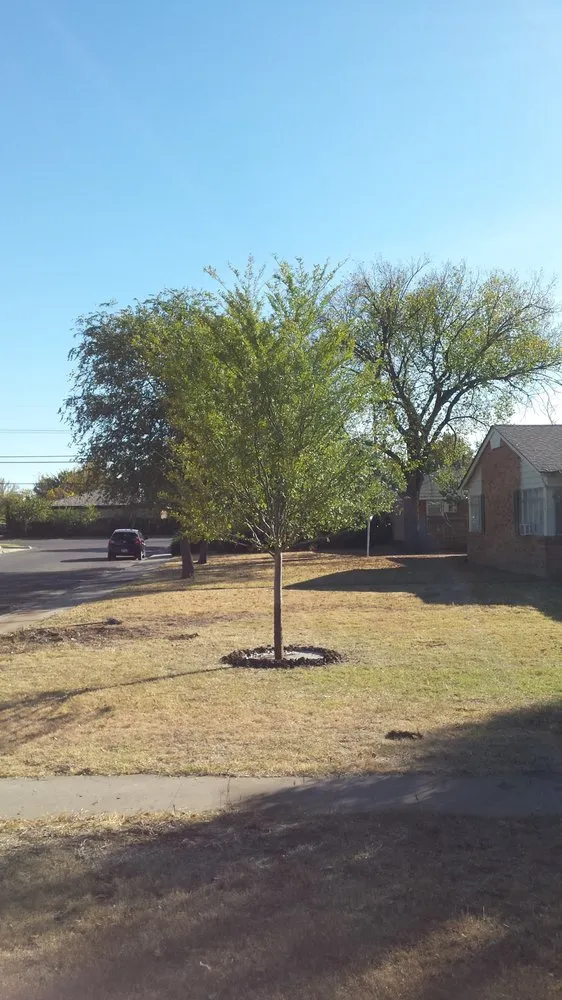 Trusted lawn care service for beautiful yards across Amarillo, TX - Superior Quality Lawn And Landscape