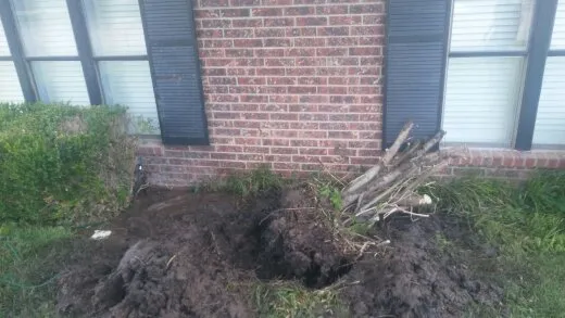 Trusted garden landscaping for year-round maintenance in Amarillo, TX by Superior Quality Lawn And Landscape