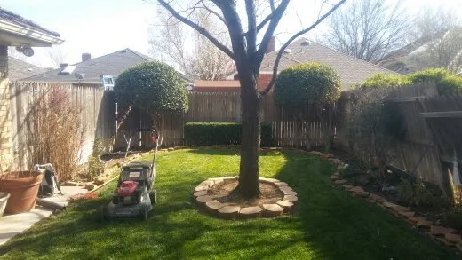 Top-rated lawn care service in Amarillo, TX - Superior Quality Lawn And Landscape