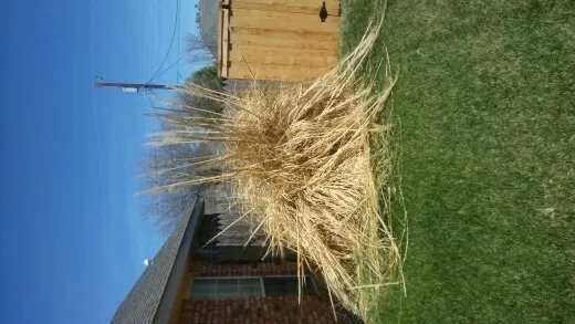 Local landscape design for beautiful yards across Amarillo, TX - Superior Quality Lawn And Landscape