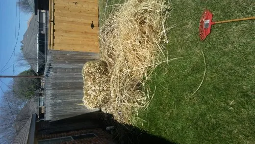 Professional yard cleanup service for homes in Amarillo, TX by Superior Quality Lawn And Landscape