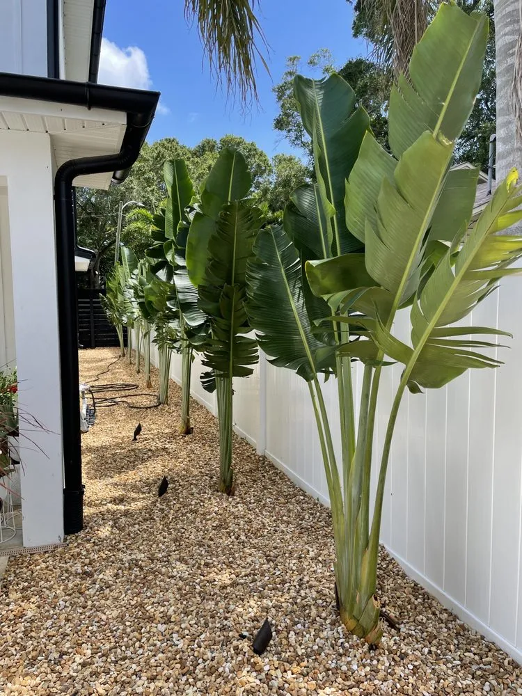 Top-rated landscaping services in Tampa Bay, FL by Superior Renovations Tampa