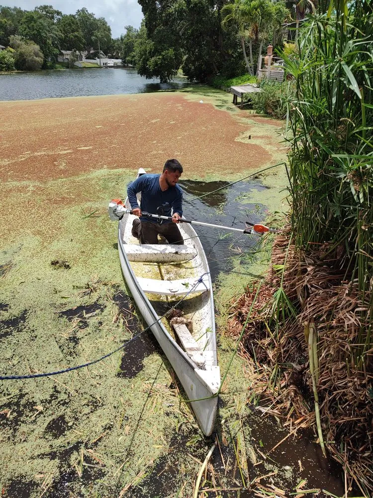 Affordable outdoor landscaping experts serving Tampa Bay, FL - Superior Renovations Tampa