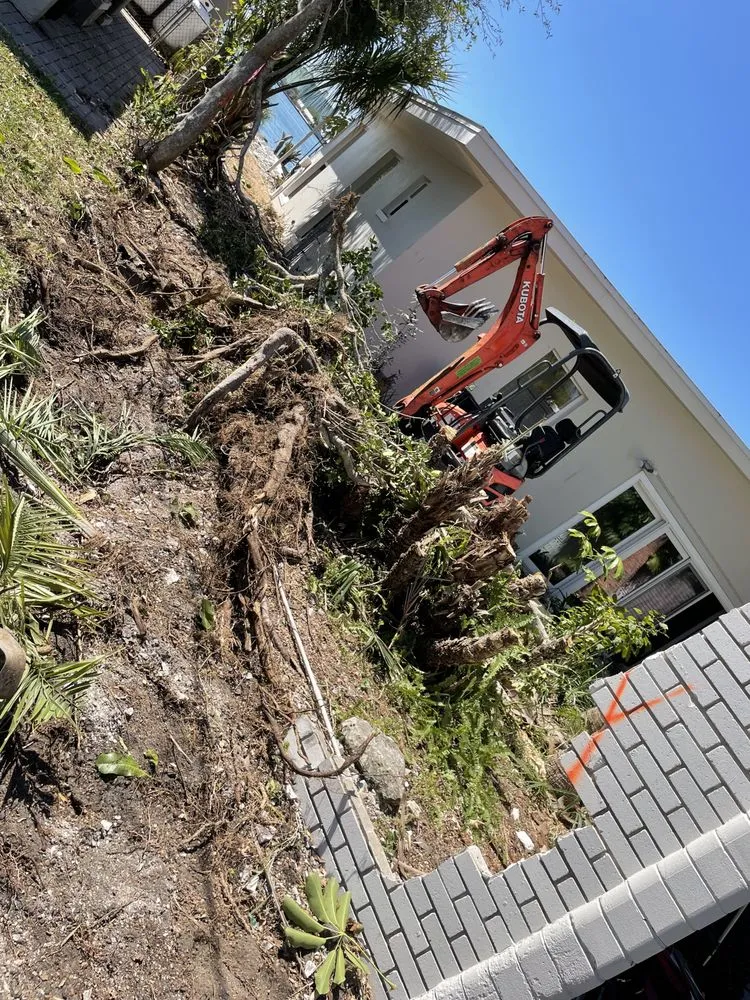 Professional lawn care service in Tampa Bay, FL by Superior Renovations Tampa