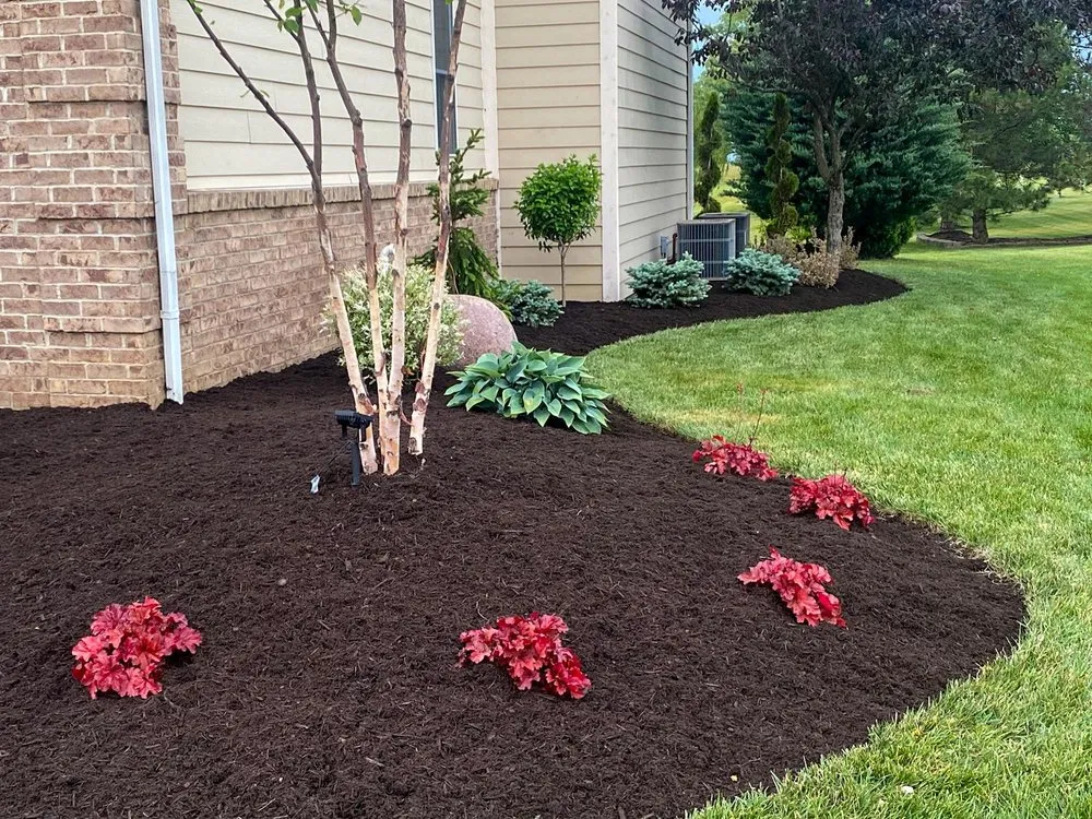 Expert lawn mowing service for residential properties in Oak Harbor, OH by Superior Service Lawn Care