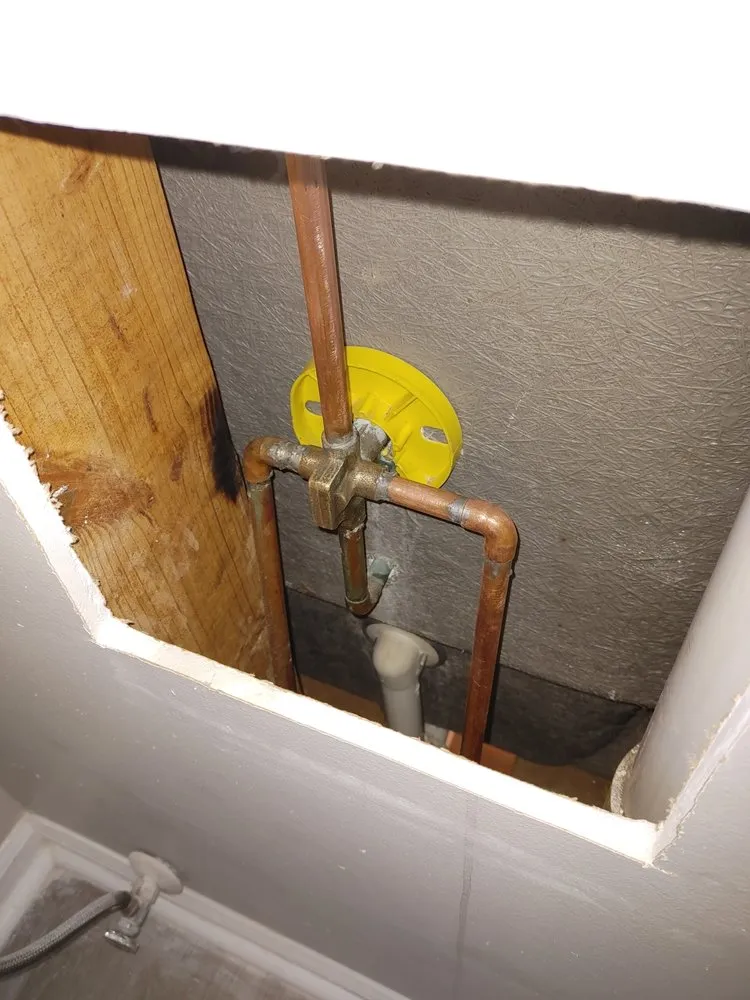 Expert landscape installation near you in Shelbyville, TN by Superior Service