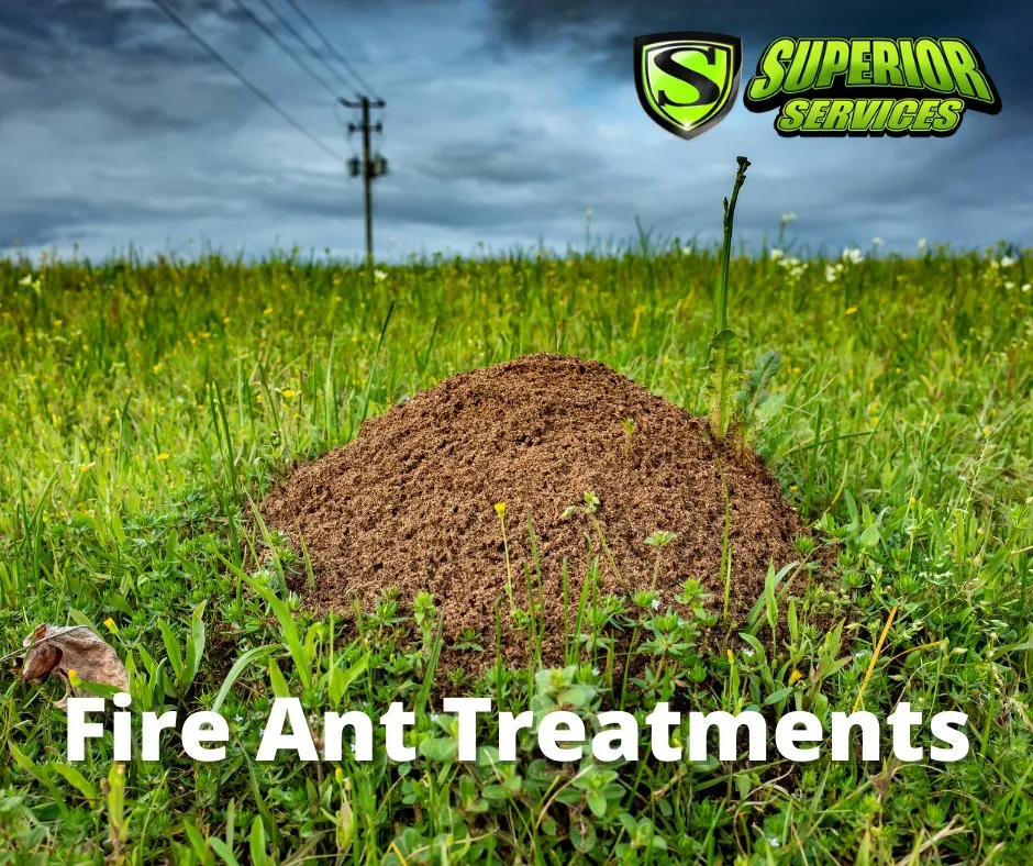 Professional landscaping services with custom design in Decatur, AL by Superior Services