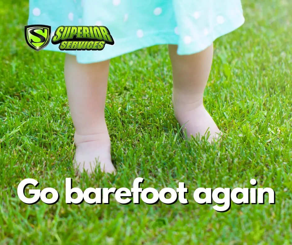 Top-rated landscape installation in Decatur, AL by Superior Services