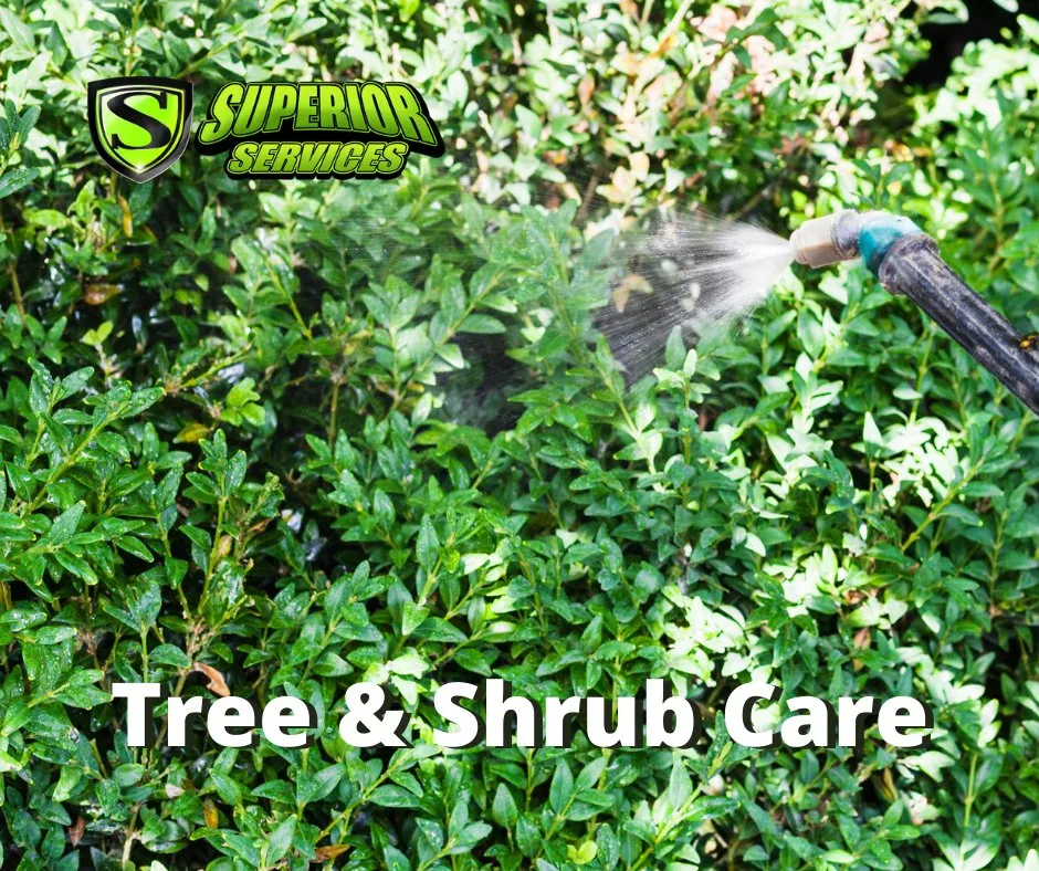 Expert outdoor landscaping for beautiful yards across Decatur, AL - Superior Services