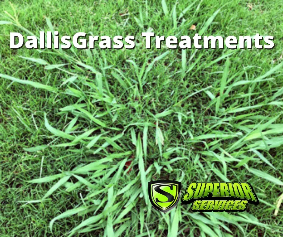 Reliable yard maintenance experts serving Decatur, AL - Superior Services