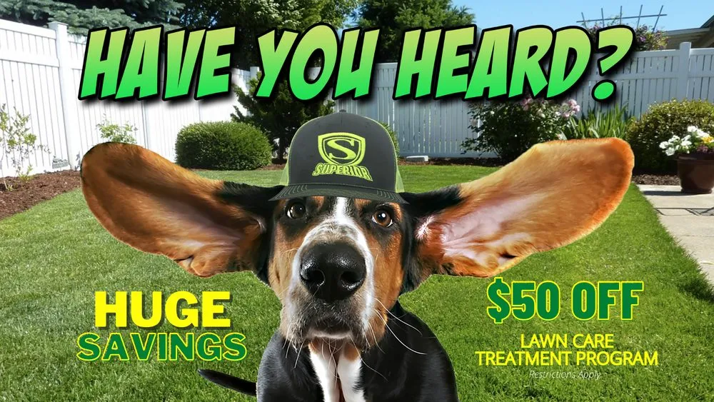 Reliable yard cleanup service for year-round maintenance in Decatur, AL by Superior Services