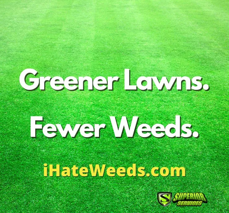 Top-rated landscape design for year-round maintenance across Decatur, AL - Superior Services