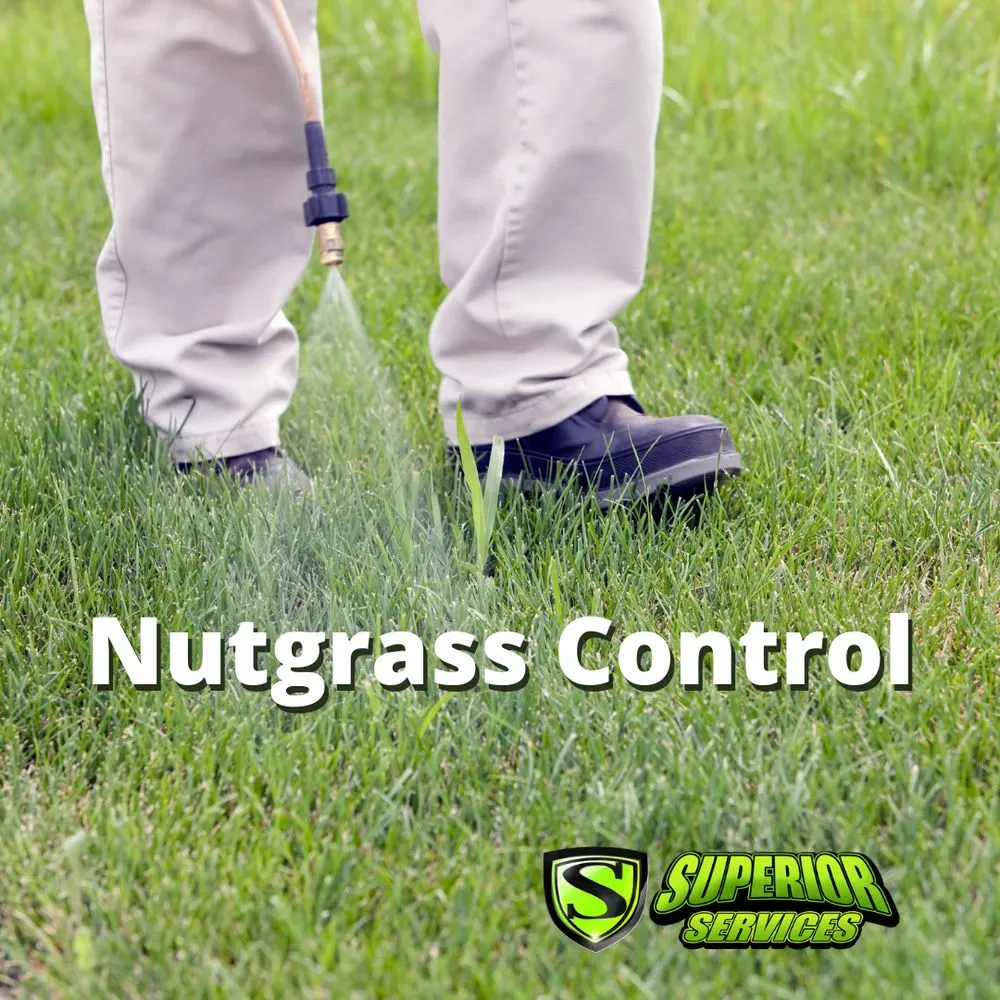 Reliable landscape design in Decatur, AL by Superior Services