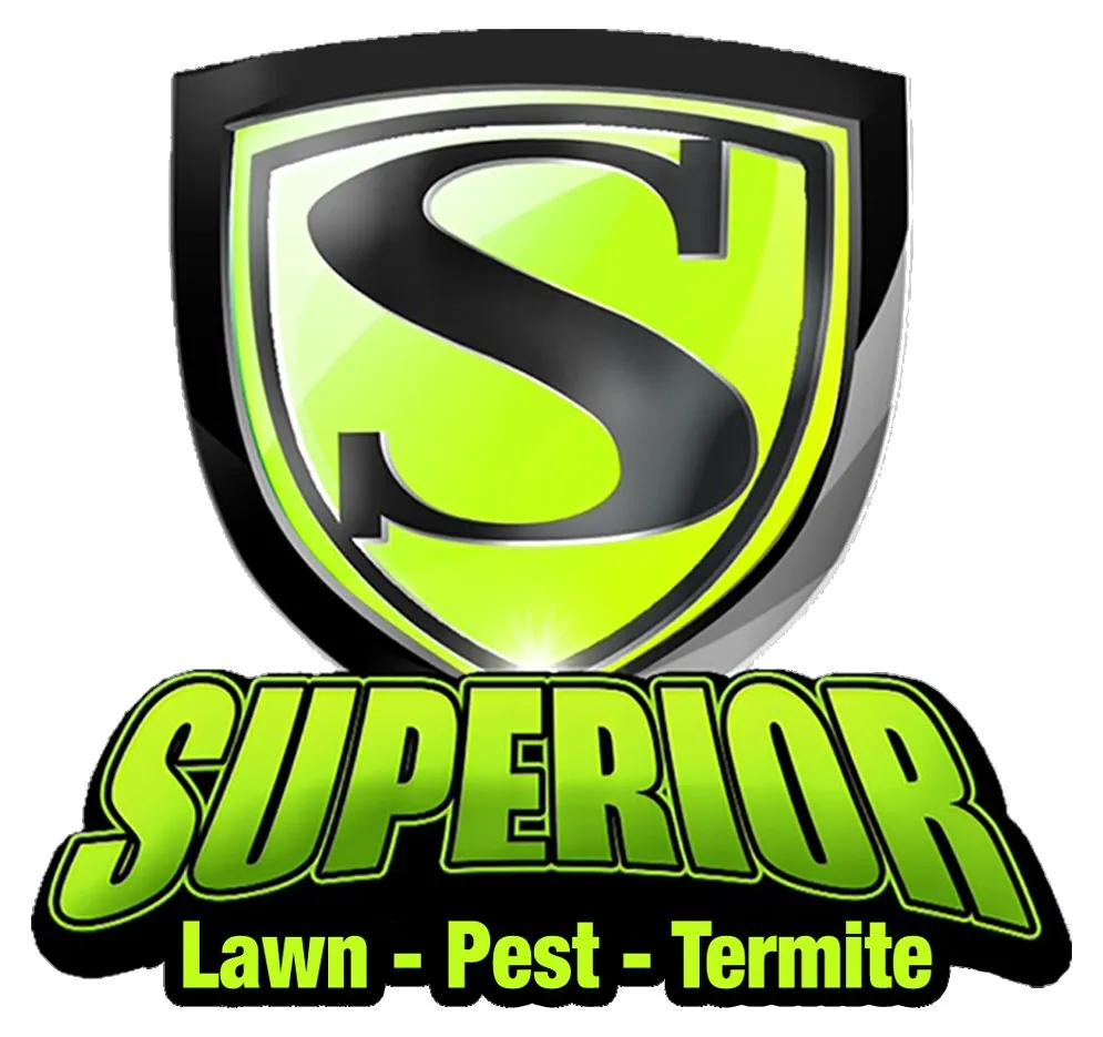 Top-rated yard maintenance near you across Decatur, AL - Superior Services