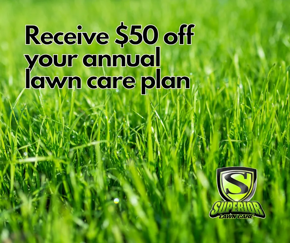 Professional yard cleanup service in Decatur, AL - Superior Services