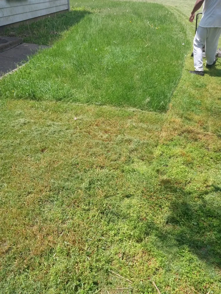 Trusted residential landscaping in Tilton, IL by Superior Services