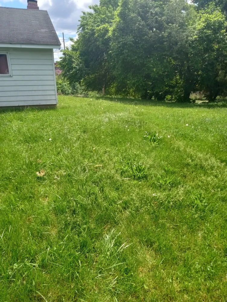 Expert lawn care service for beautiful yards across Tilton, IL - Superior Services