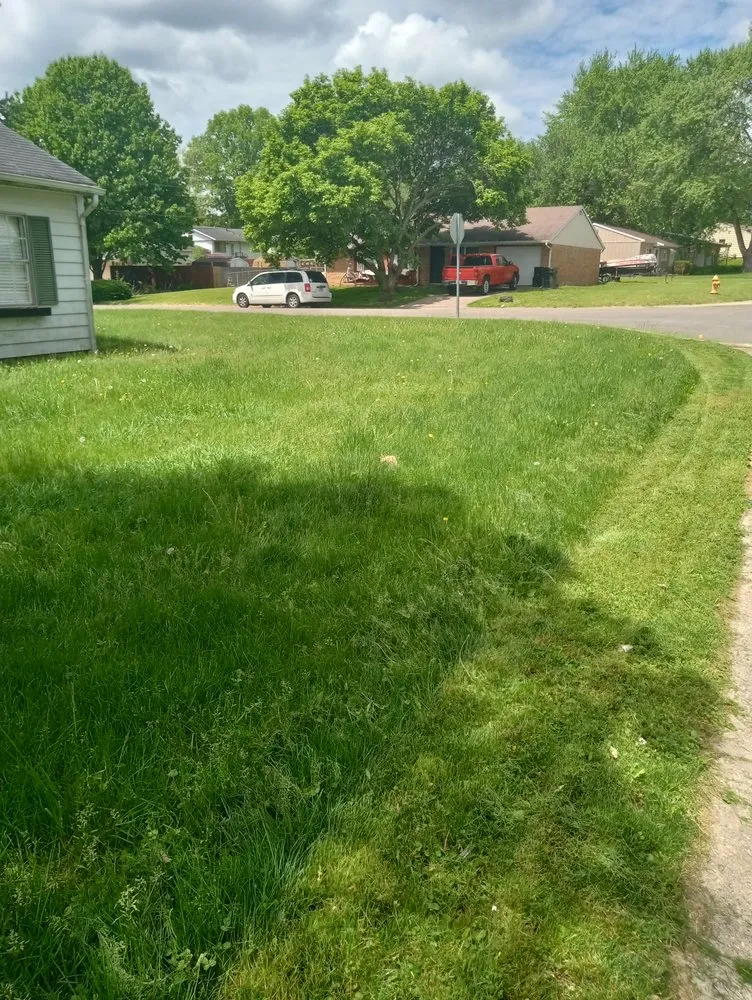 Reliable landscape installation in Tilton, IL - Superior Services