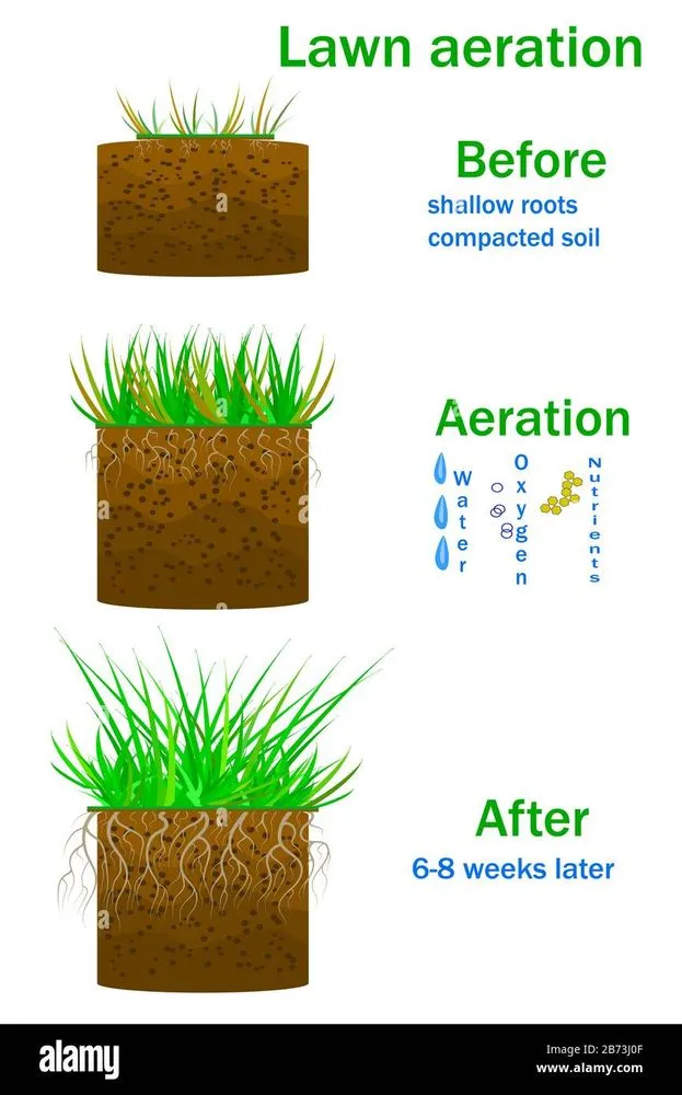 Custom landscaping services in Houston, TX by Superior Signature Exteriors