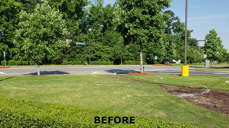 Top-rated landscaping services in Houston, TX by Superior Signature Exteriors