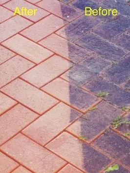 Top-rated yard cleanup service experts serving Houston, TX - Superior Signature Exteriors