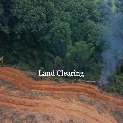 Local garden landscaping experts serving Phoenix, AZ - Superior Siteworks