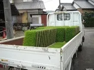 Professional yard maintenance in Kissimmee, FL by Superior Sod