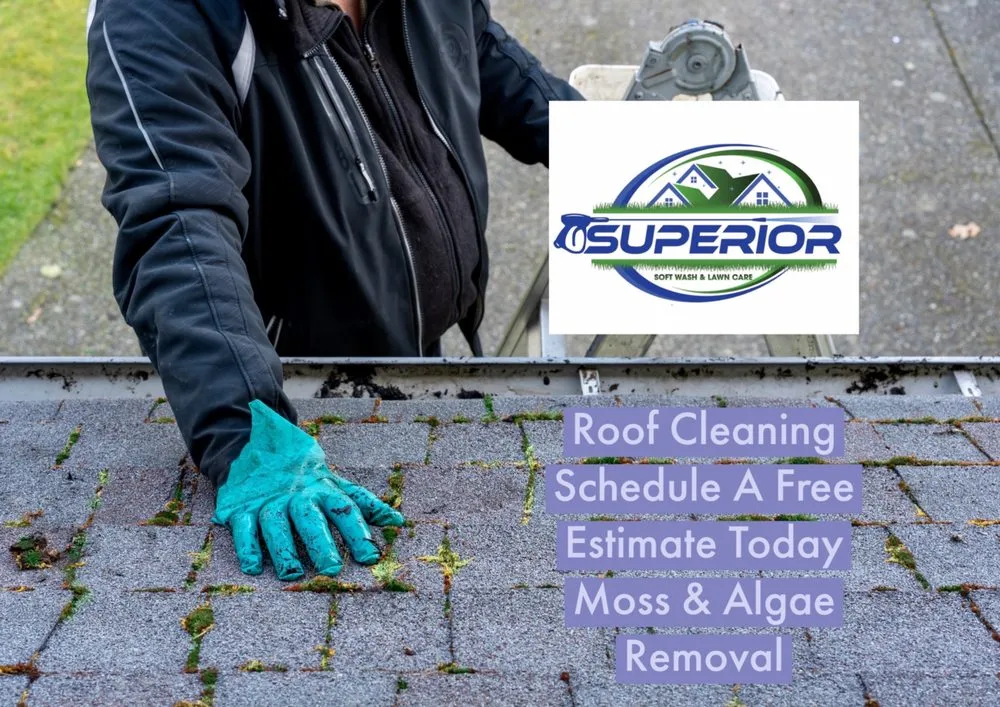 Professional landscape design with custom design across Waukegan, IL - Superior Soft Wash & Landscaping