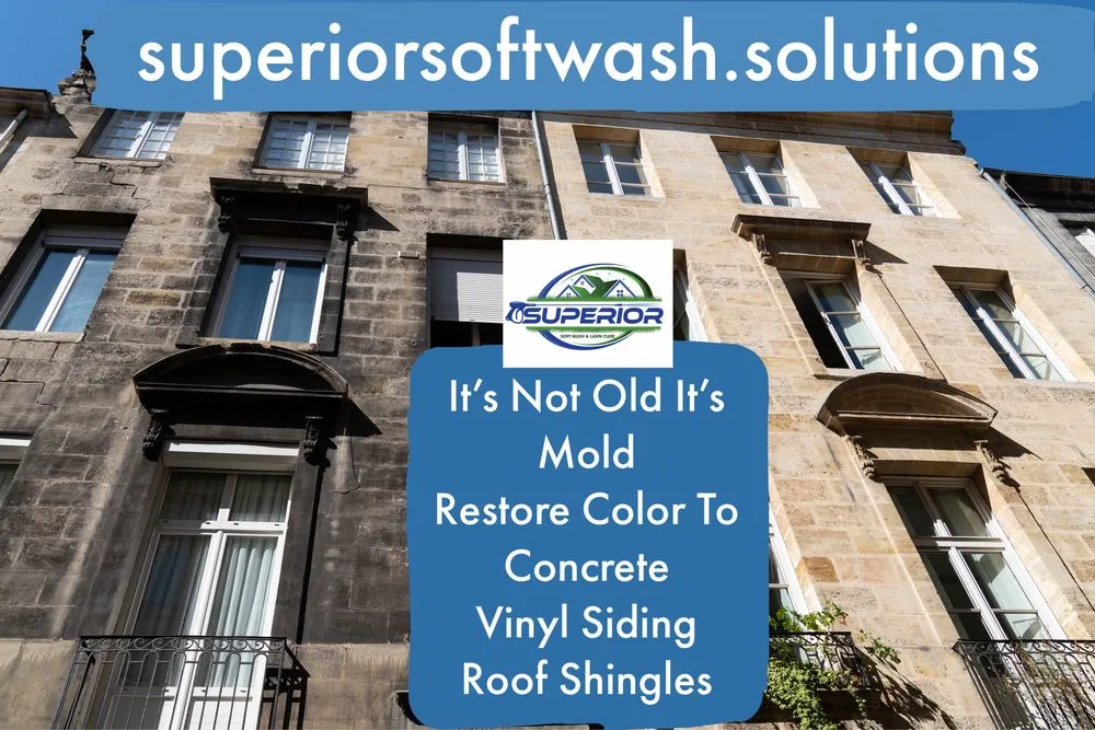 Trusted yard maintenance in Waukegan, IL - Superior Soft Wash & Landscaping