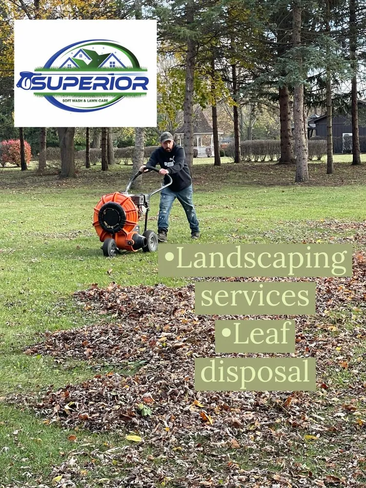 Affordable yard maintenance for outdoor upgrades across Waukegan, IL - Superior Soft Wash & Landscaping
