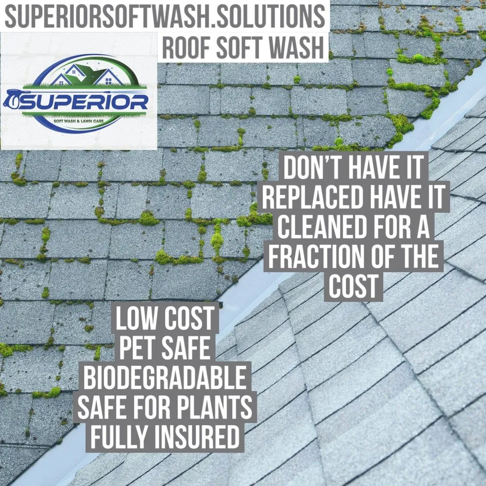 Custom landscape design in Waukegan, IL by Superior Soft Wash & Landscaping