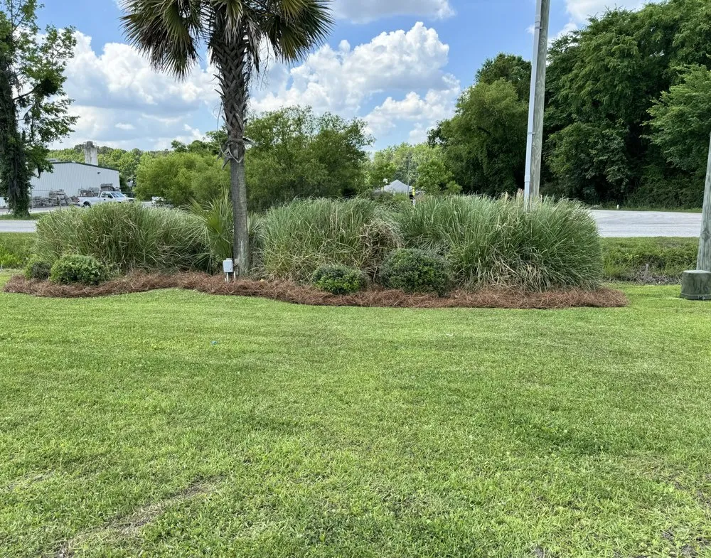 Reliable landscaping services with custom design in Bluffton, SC by Superior Solutions