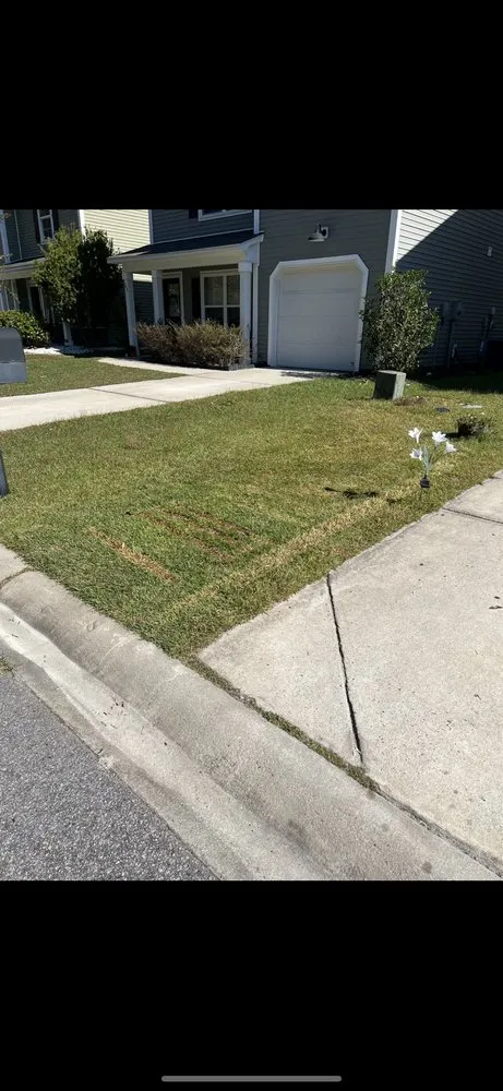 Professional landscape installation for beautiful yards across Bluffton, SC - Superior Solutions