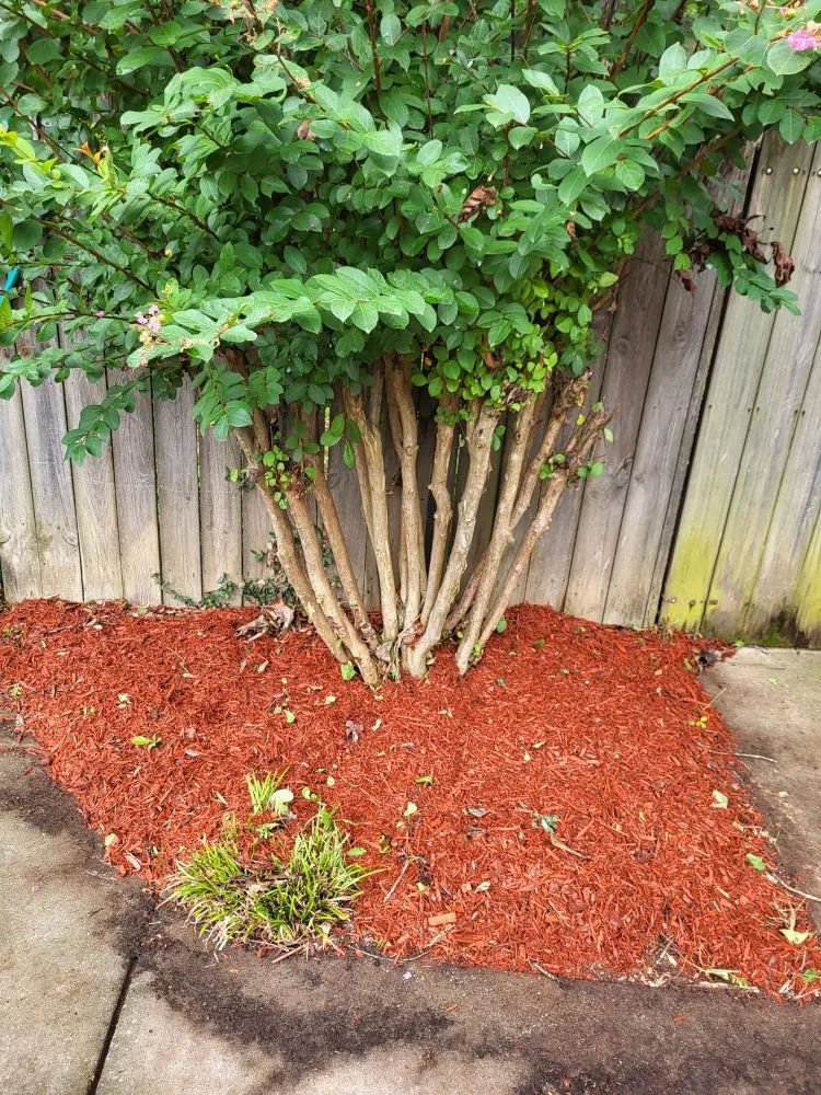Reliable garden landscaping in Huntsville, AL - Superior Southern Contracting