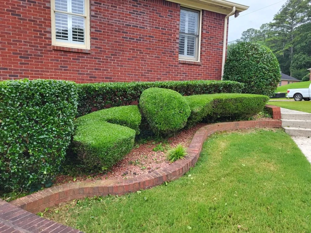 Trusted yard cleanup service in Huntsville, AL by Superior Southern Contracting