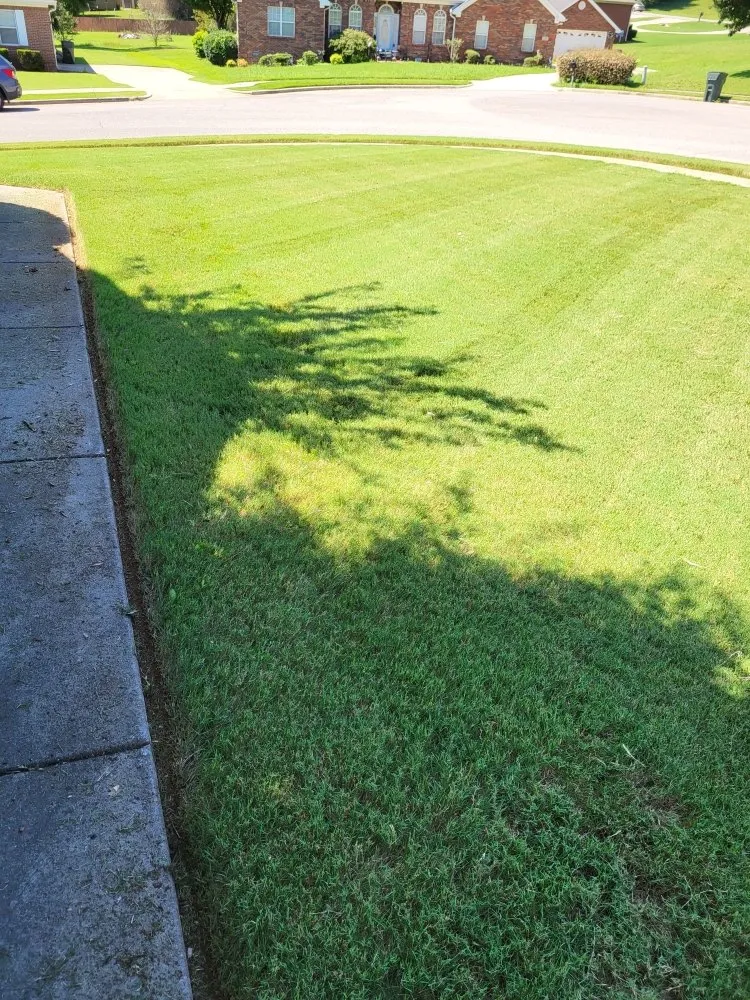 Professional landscaping services near you in Huntsville, AL by Superior Southern Contracting