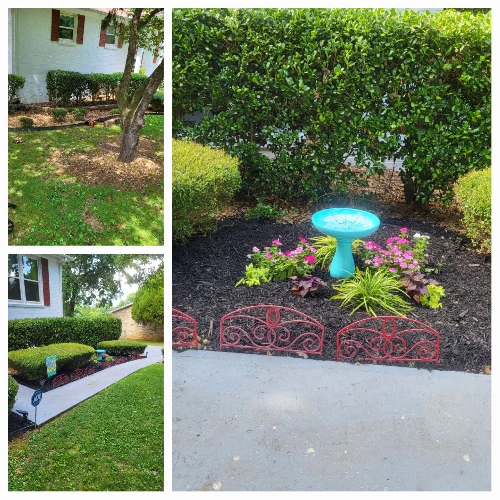 Local yard maintenance in Huntsville, AL - Superior Southern Contracting