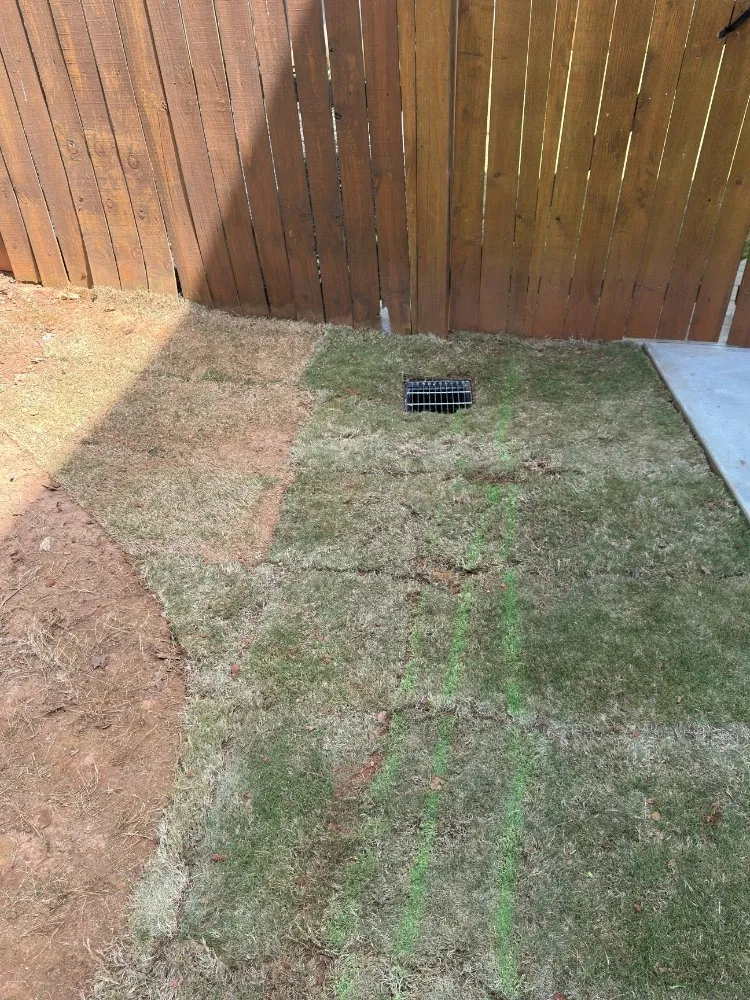 Custom outdoor landscaping in Marietta, GA by Superior Stormwater Management